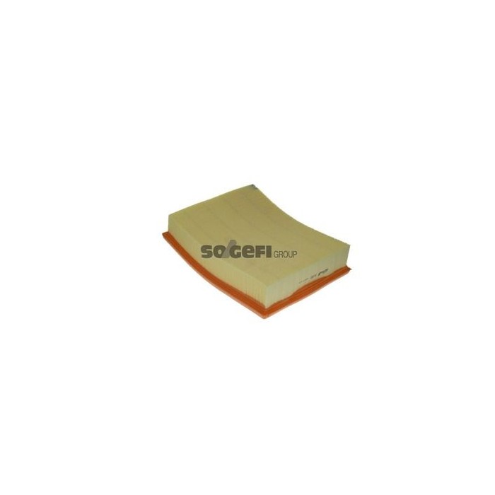 PURFLUX Luftfilter A1050