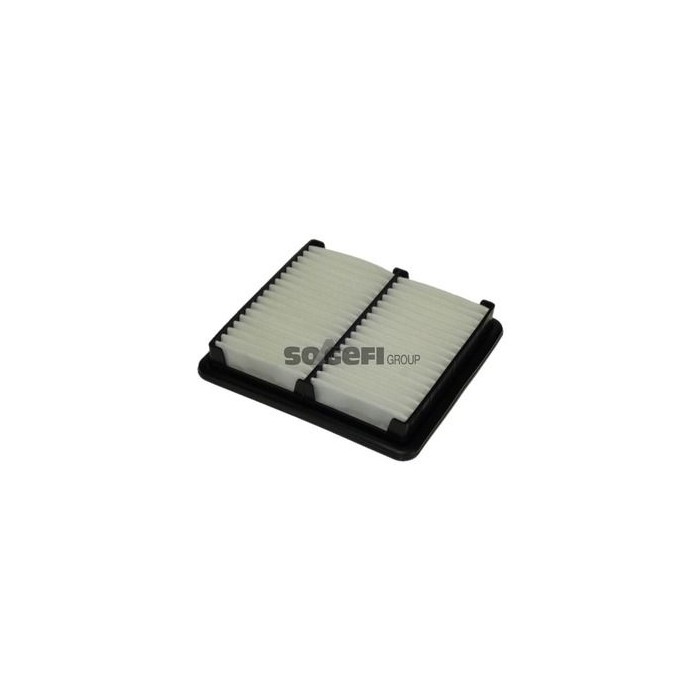 PURFLUX Luftfilter A1060