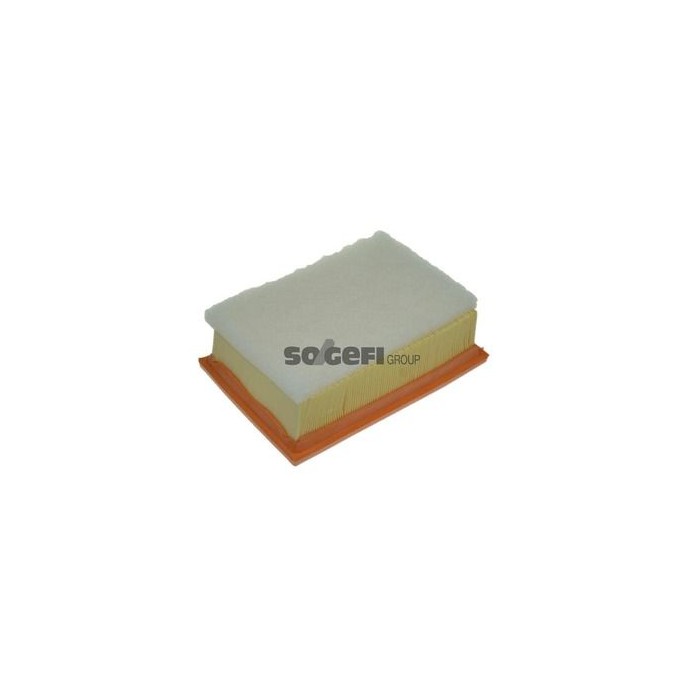 PURFLUX Luftfilter A1112