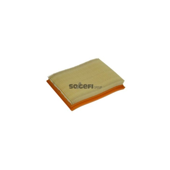 PURFLUX Luftfilter A1145