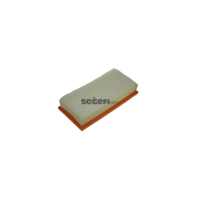 PURFLUX Luftfilter A1179