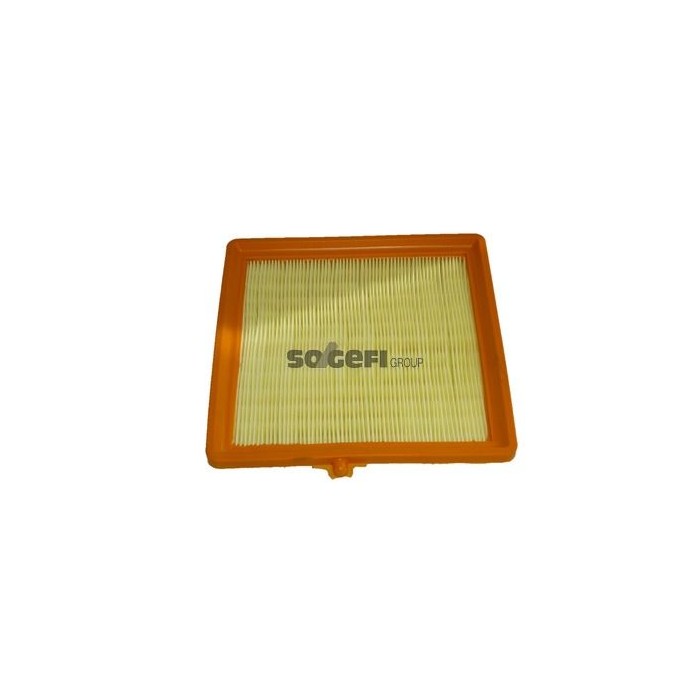 PURFLUX Luftfilter A1617