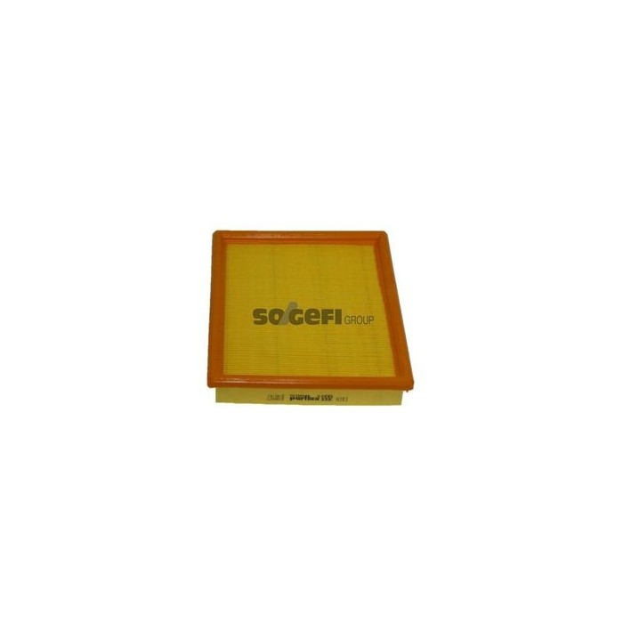 PURFLUX Luftfilter A383
