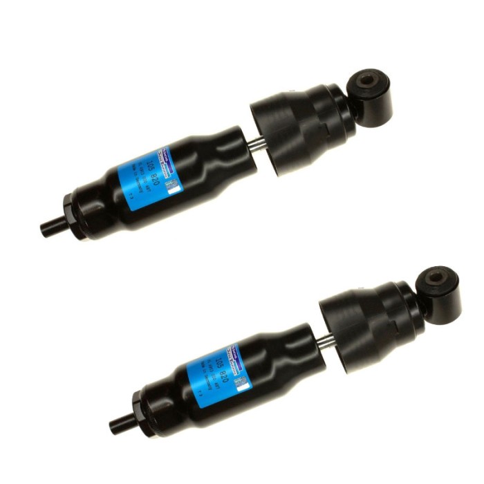 Set Stossdämpfer hinten Sachs Vw Transporter