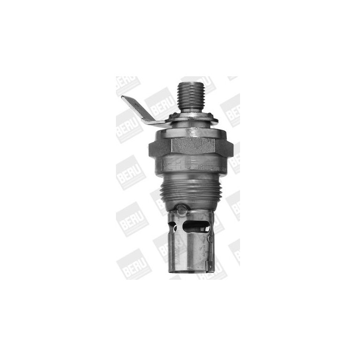 BorgWarner (BERU) Glühkerze GF859