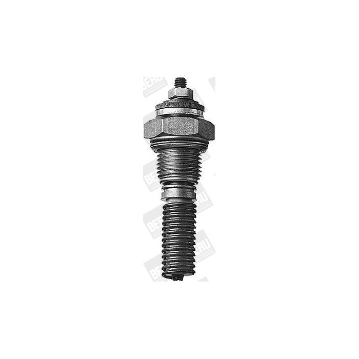 BorgWarner (BERU) Glühkerze, Standheizung GH408