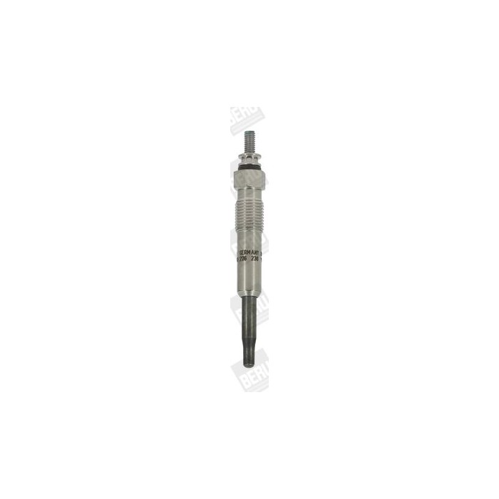 BorgWarner (BERU) Glühkerze GN999