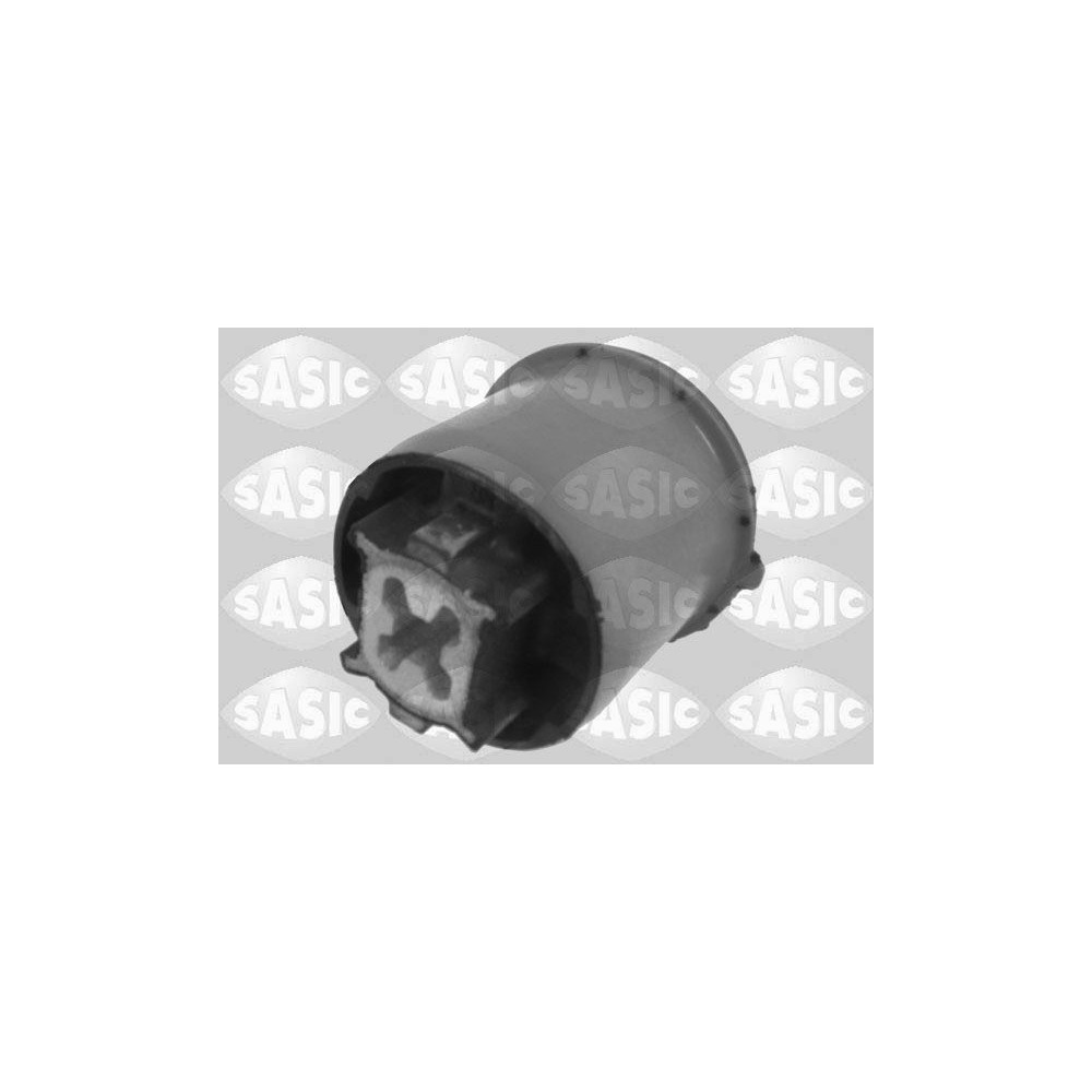 SASIC Lagerung, Achskörper 2600011
