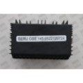 BorgWarner (BERU) Steuergerät, Glühzeit GSE145