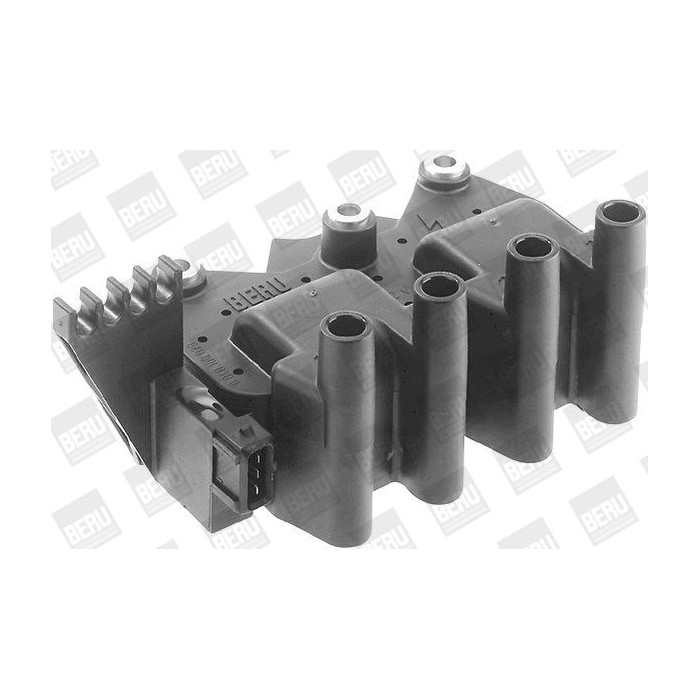 BorgWarner (BERU) Zündspule ZS029