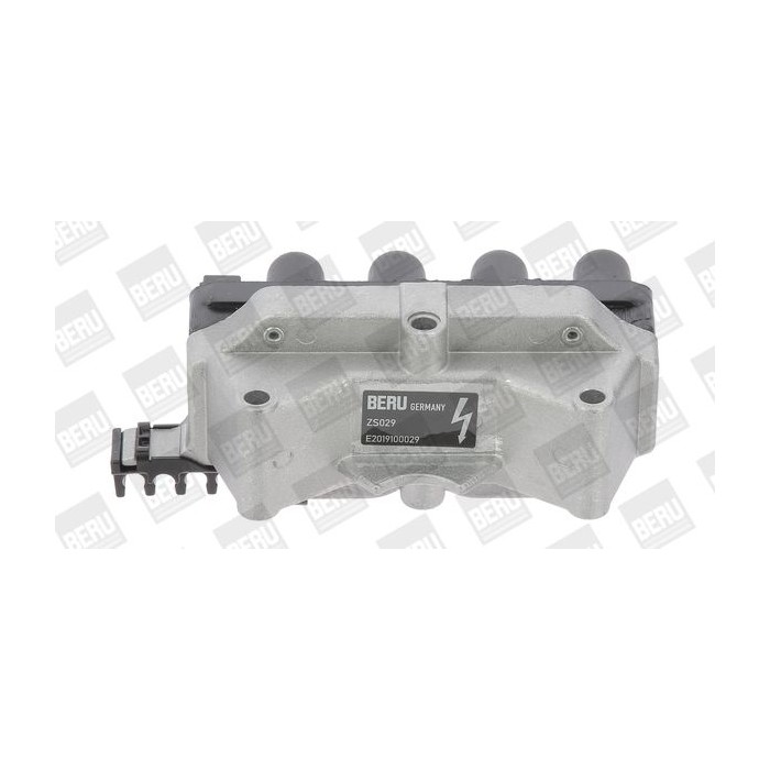 BorgWarner (BERU) Zündspule ZS029