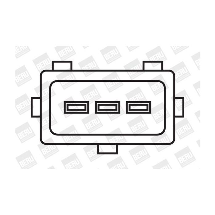 BorgWarner (BERU) Zündspule ZS029