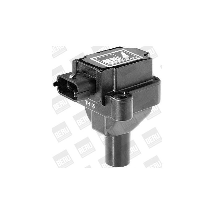 BorgWarner (BERU) Zündspule ZS030