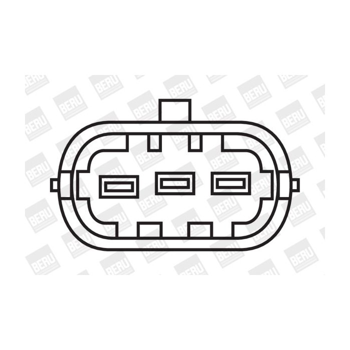 BorgWarner (BERU) Zündspule ZS030