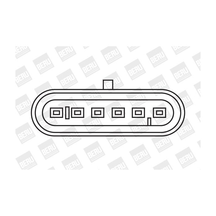 BorgWarner (BERU) Zündspule ZS079