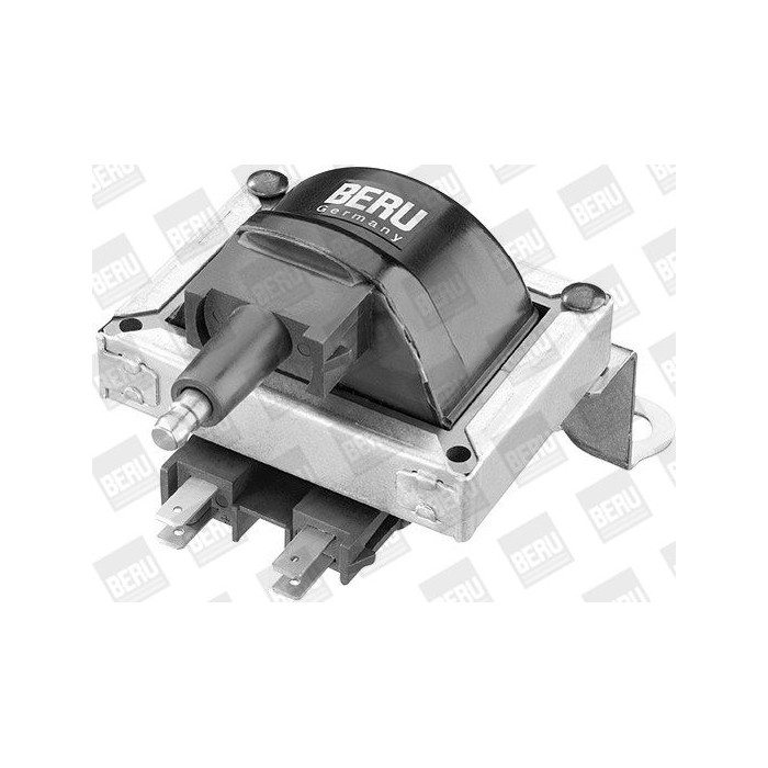 BorgWarner (BERU) Zündspule ZS252