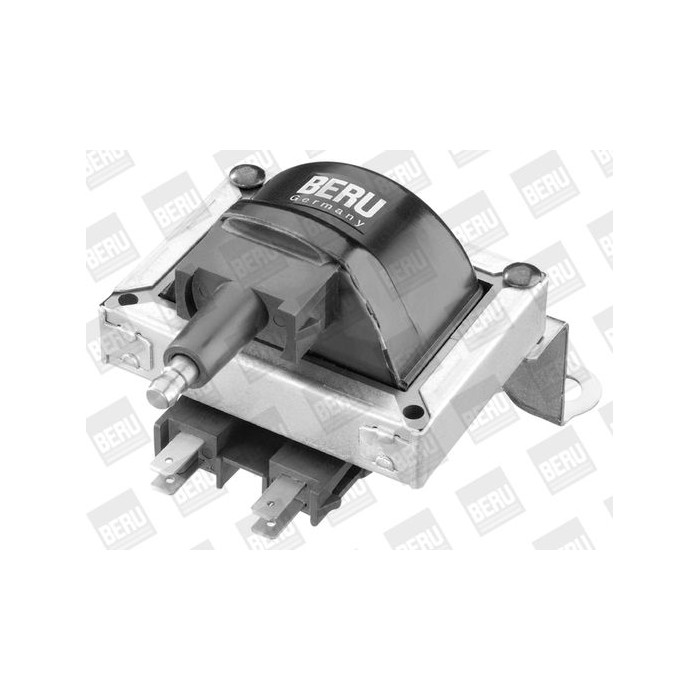 BorgWarner (BERU) Zündspule ZS252