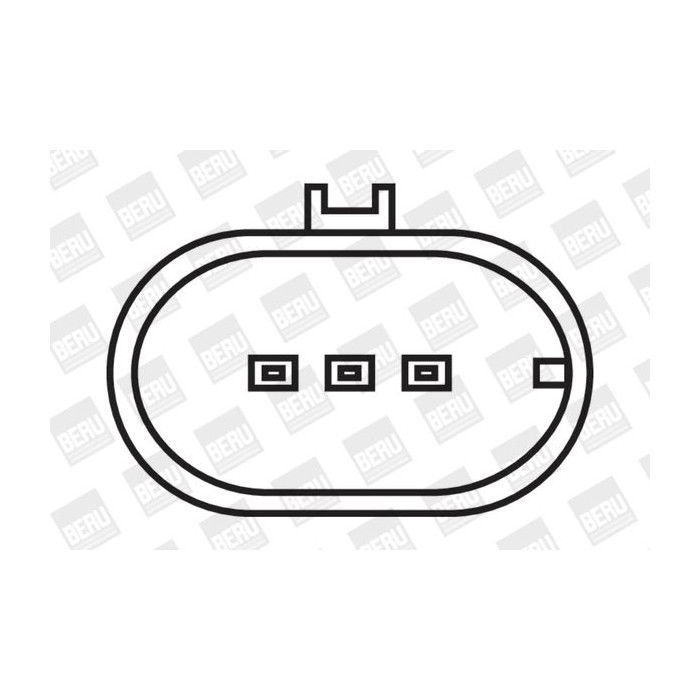 BorgWarner (BERU) Zündspule ZS320