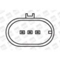 BorgWarner (BERU) Zündspule ZS320