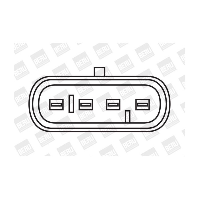 BorgWarner (BERU) Zündspule ZS354