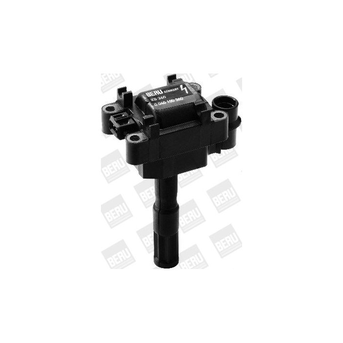 BorgWarner (BERU) Zündspule ZS360