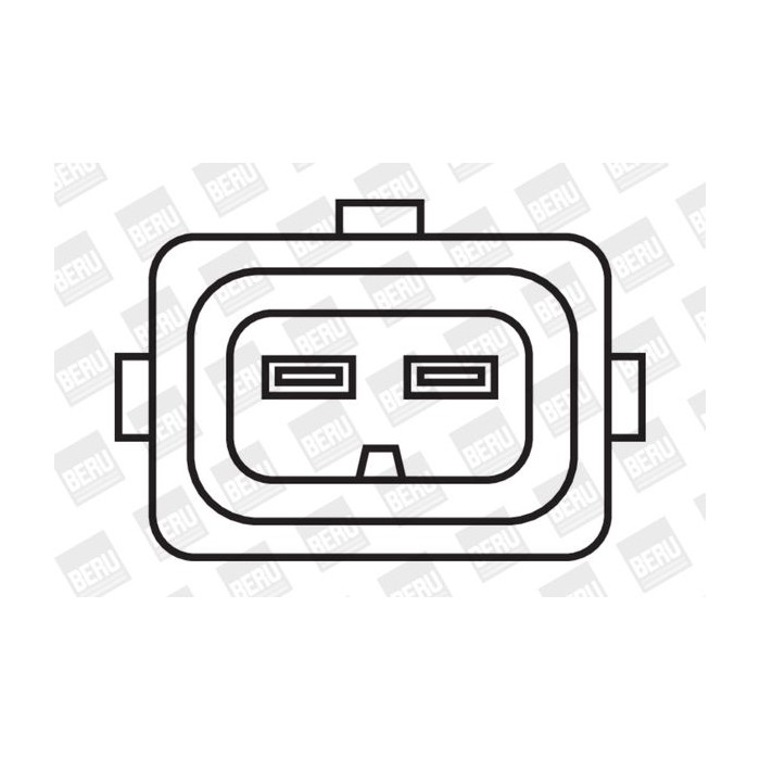BorgWarner (BERU) Zündspule ZS360