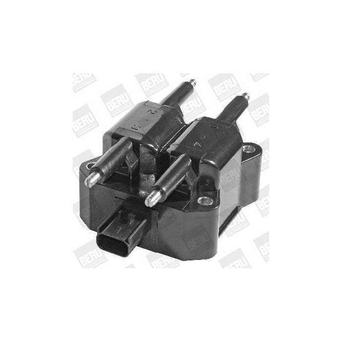 BorgWarner (BERU) Zündspule ZS380