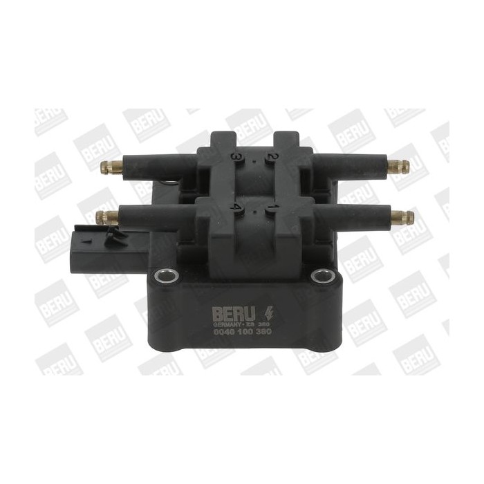 BorgWarner (BERU) Zündspule ZS380