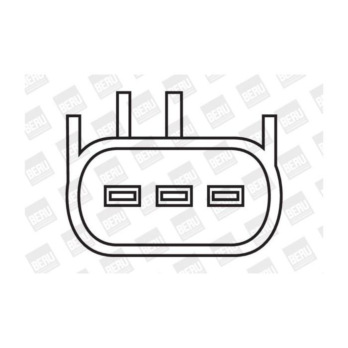 BorgWarner (BERU) Zündspule ZS380