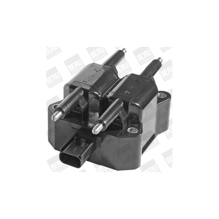 BorgWarner (BERU) Zündspule ZS380