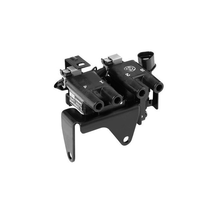 BorgWarner (BERU) Zündspule ZS477