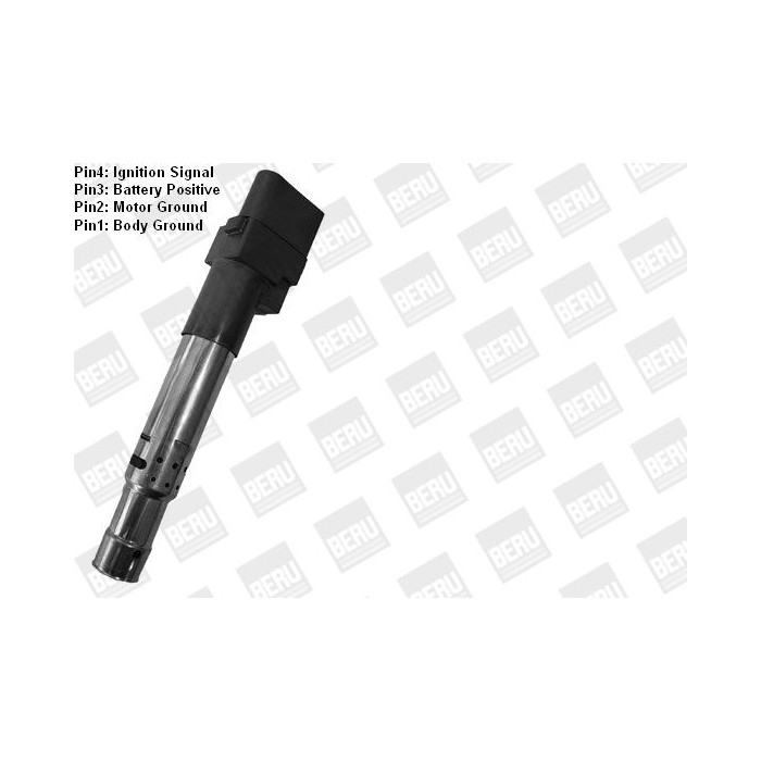 BorgWarner (BERU) Zündspule ZSE044