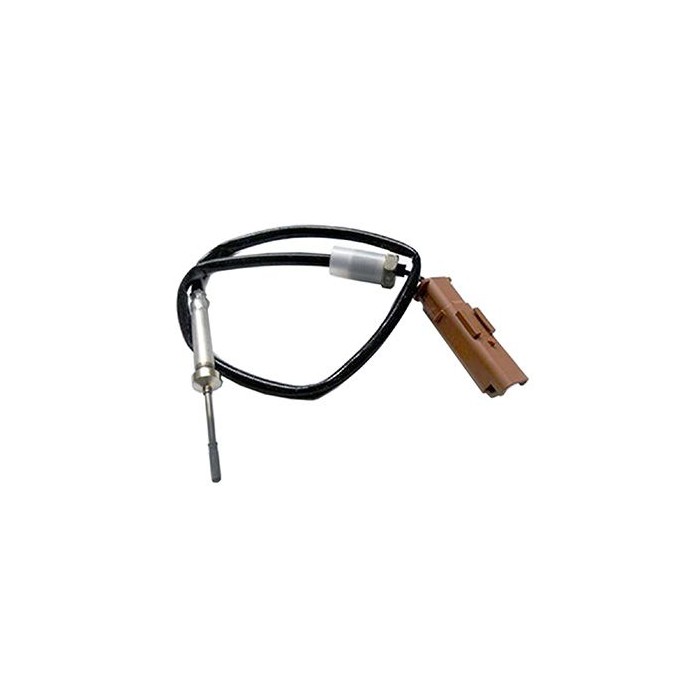 SIDAT Sensor, Abgastemperatur 82.1064