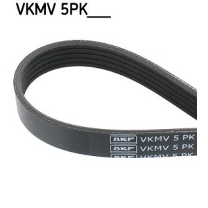 SKF Keilrippenriemen VKMV5PK1585