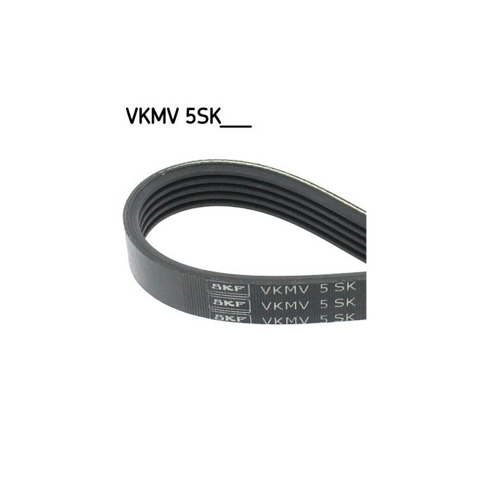 SKF Keilrippenriemen VKMV5SK748