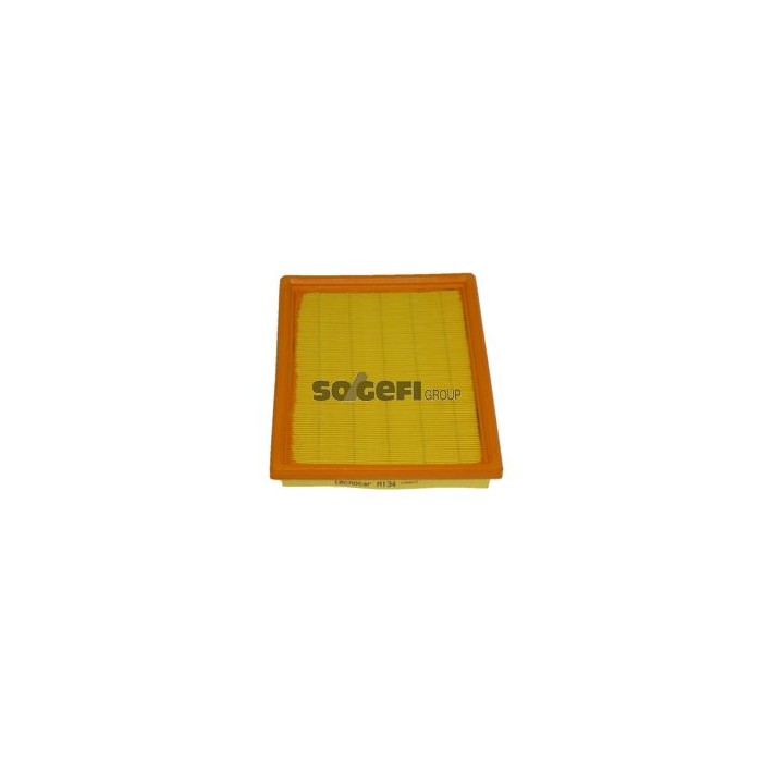 TECNOCAR Luftfilter A134