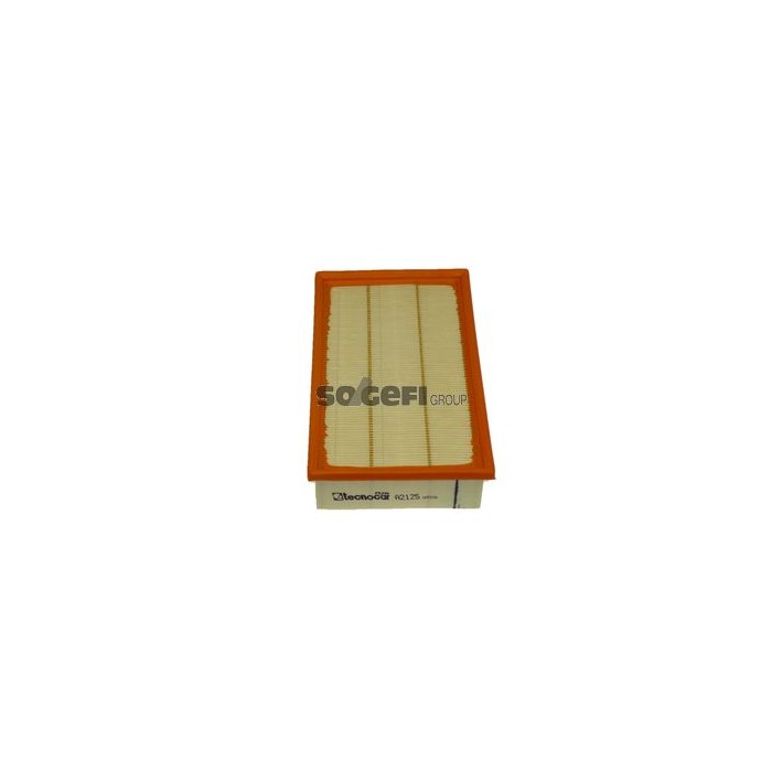 TECNOCAR Luftfilter A2125