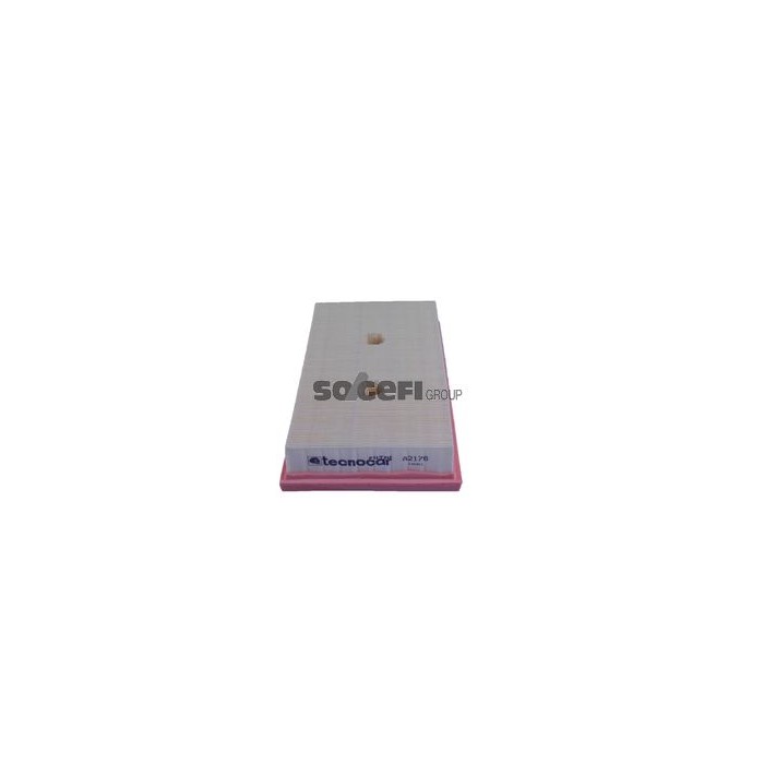 TECNOCAR Luftfilter A2176