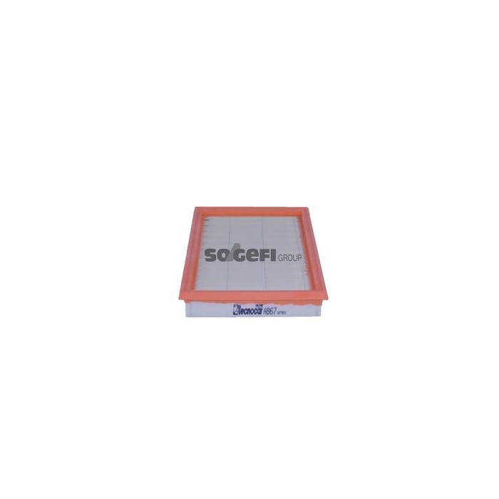 TECNOCAR Luftfilter A867