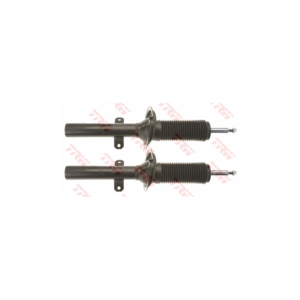 TRW TWIN Stoßdämpfer JGM1066T