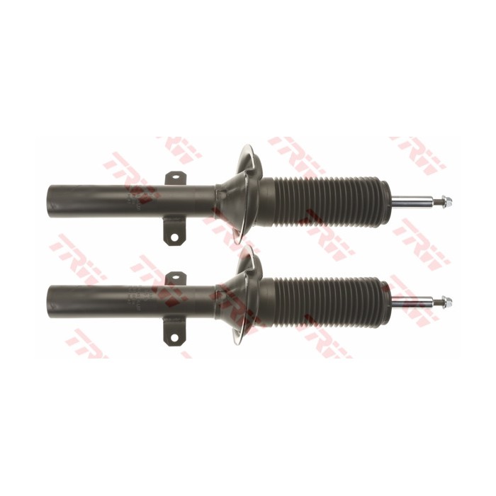 TRW TWIN Stoßdämpfer JGM1066T