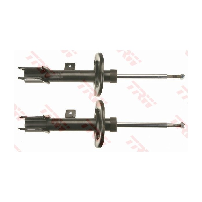 TRW TWIN Stoßdämpfer JGM1077T