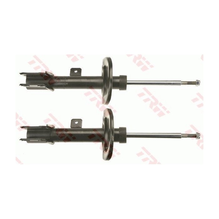 TRW TWIN Stoßdämpfer JGM1077T