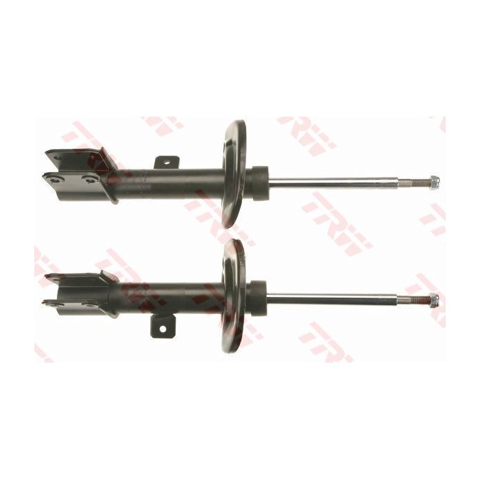 TRW TWIN Stoßdämpfer JGM1079T