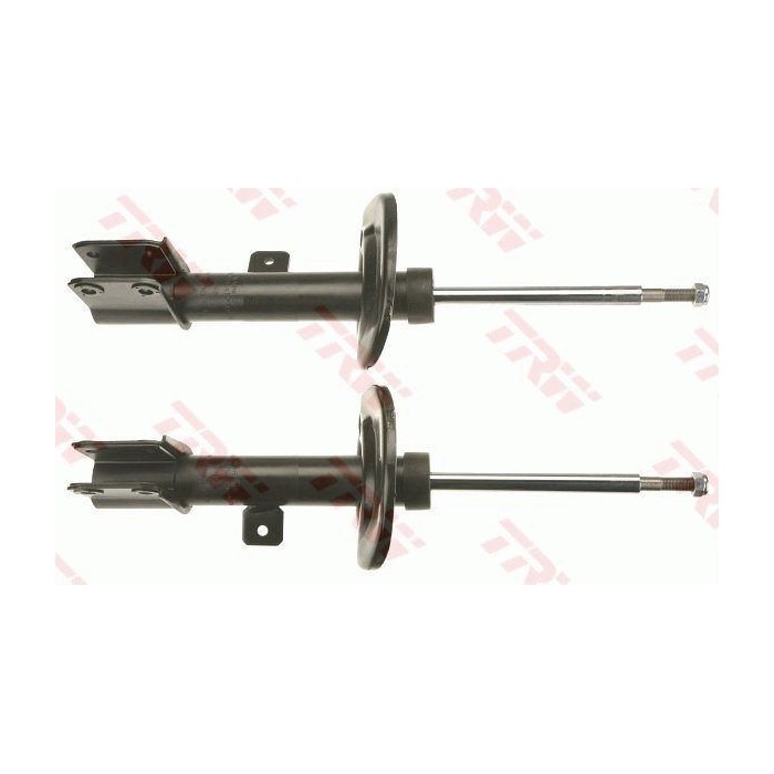 TRW TWIN Stoßdämpfer JGM1079T