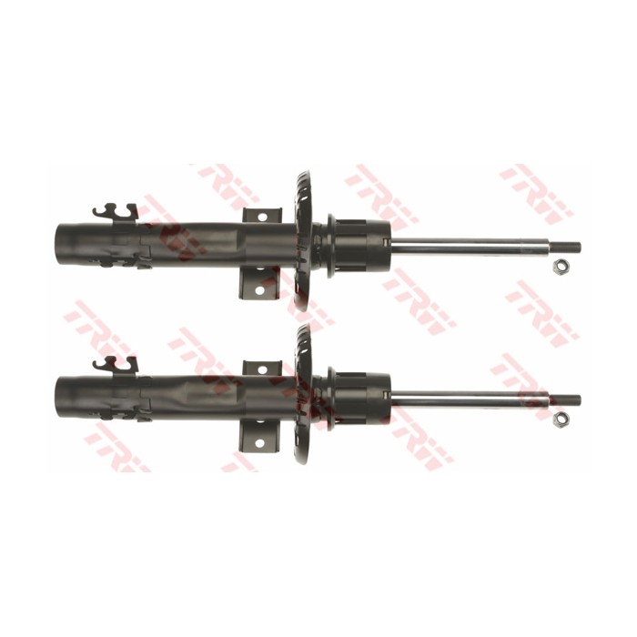 TRW TWIN Stoßdämpfer JGM1082T