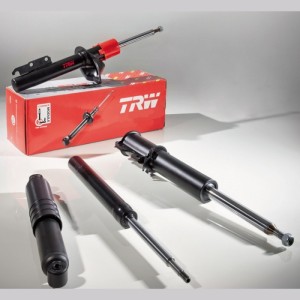 TRW TWIN Stoßdämpfer JGT454T