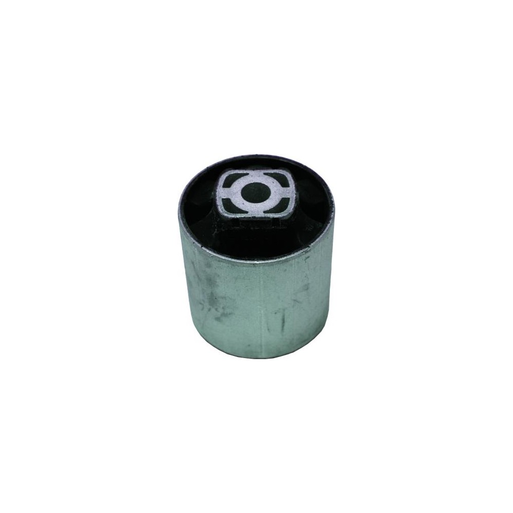 BIRTH Lagerung, Lenker 2026