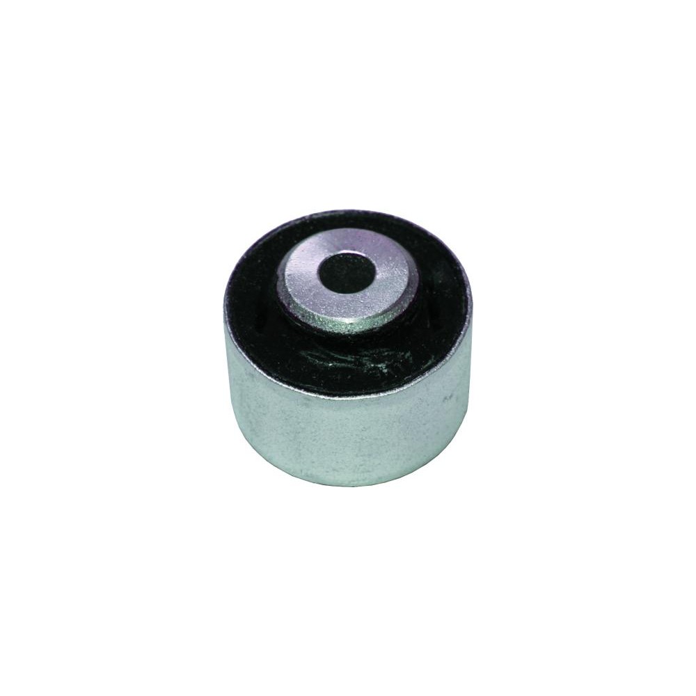 BIRTH Lagerung, Lenker 2028