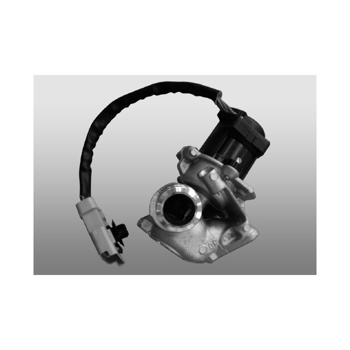 VALEO ORIGINAL TEIL AGR-Ventil 700409